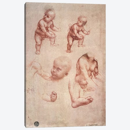 Study for the Infant Christ, c.1501-10  Canvas Print #BMN1002} by Leonardo da Vinci Canvas Wall Art
