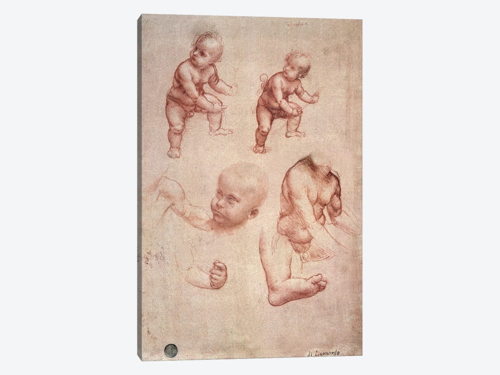 Study for the Infant Christ, c.1501-10  1-piece Canvas Art Print