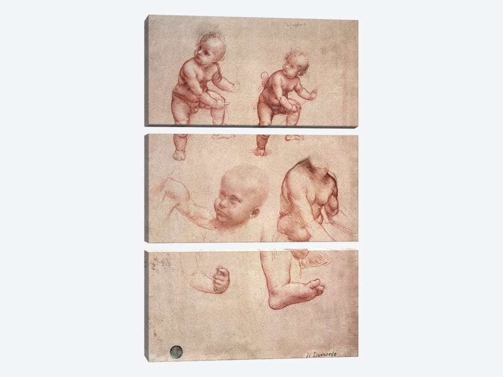 Study for the Infant Christ, c.1501-10  3-piece Canvas Print
