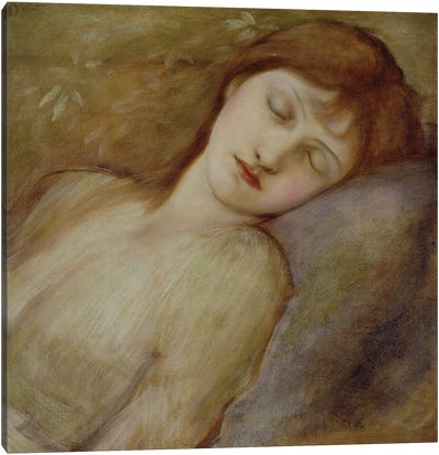 Study for the Sleeping Princess in 'The Briar Rose' Series, c.1881  Canvas Art Print