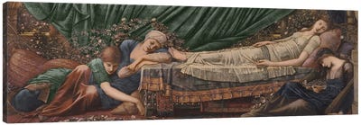 The Briar Rose' Series, 4: The Sleeping Beauty, 1870-90  Canvas Art Print