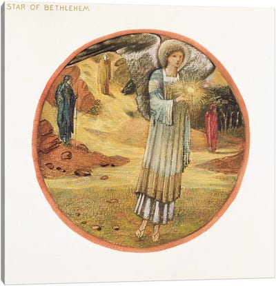 The Flower Book: WW. Star of Bethlehem, 1905  Canvas Art Print