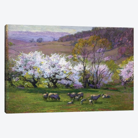 Blossom Time,  Canvas Print #BMN10080} by Edward Henry Potthast Canvas Art Print