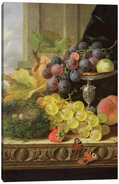 Still life of fruit, a tazza and a bird's nest Canvas Art Print