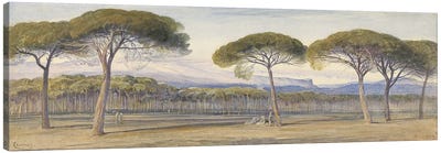 A View of the Pine Woods Above Cannes, 1869  Canvas Art Print