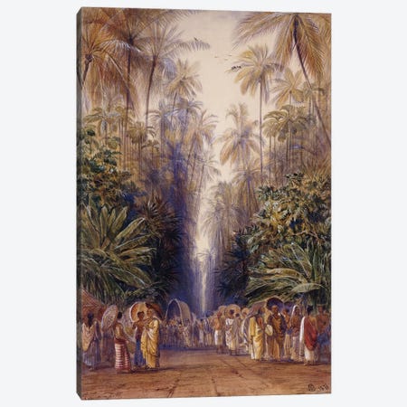 On the Road to Galle, Ceylon, 1876  Canvas Print #BMN10125} by Edward Lear Art Print