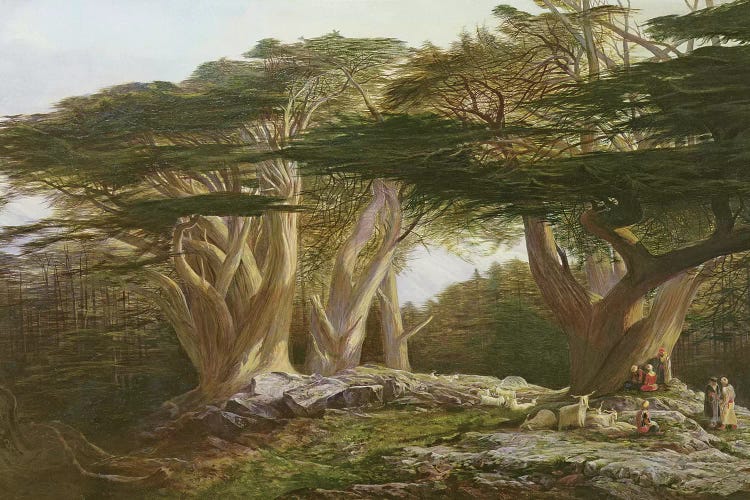 The Cedars of Lebanon, 1861  by Edward Lear wall art