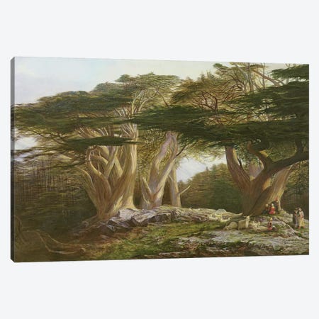 The Cedars of Lebanon, 1861  Canvas Print #BMN10128} by Edward Lear Canvas Artwork