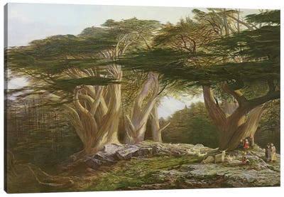 The Cedars of Lebanon, 1861  Canvas Art Print - Edward Lear