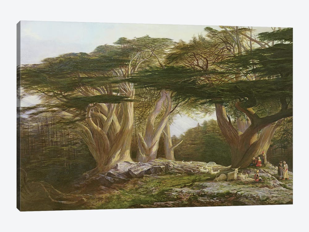 The Cedars of Lebanon, 1861  by Edward Lear 1-piece Canvas Print
