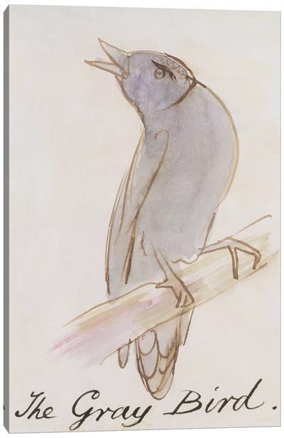 The Gray Bird, from 'Sixteen Drawings of Comic Birds'  Canvas Art Print - Edward Lear