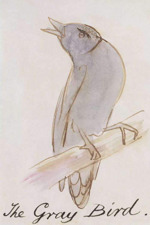 The Gray Bird, from 'Sixteen Drawings - Canvas Wall Art | Edward Lear
