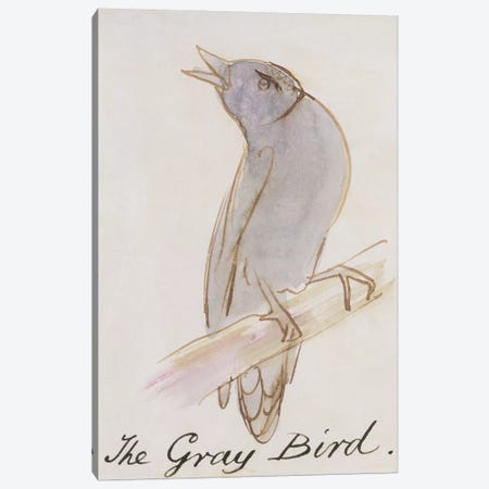 The Gray Bird, from 'Sixteen Drawings of Comic Birds'  Canvas Print #BMN10129} by Edward Lear Canvas Wall Art