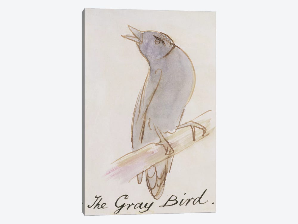 The Gray Bird, from 'Sixteen Drawings of Comic Birds'  by Edward Lear 1-piece Canvas Art