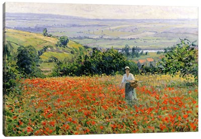 Woman in a Poppy Field  Canvas Art Print