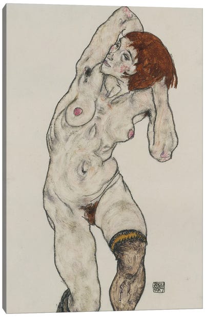 Standing Nude in Black Stockings, 1917  Canvas Art Print - Egon Schiele