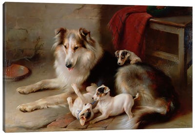 A Collie with Fox Terrier Puppies, 1913 Canvas Art Print - Puppy Art
