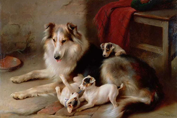 A Collie with Fox Terrier Puppies, 1913