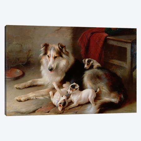 A Collie with Fox Terrier Puppies, 1913 Canvas Print #BMN1019} by Walter Hunt Art Print
