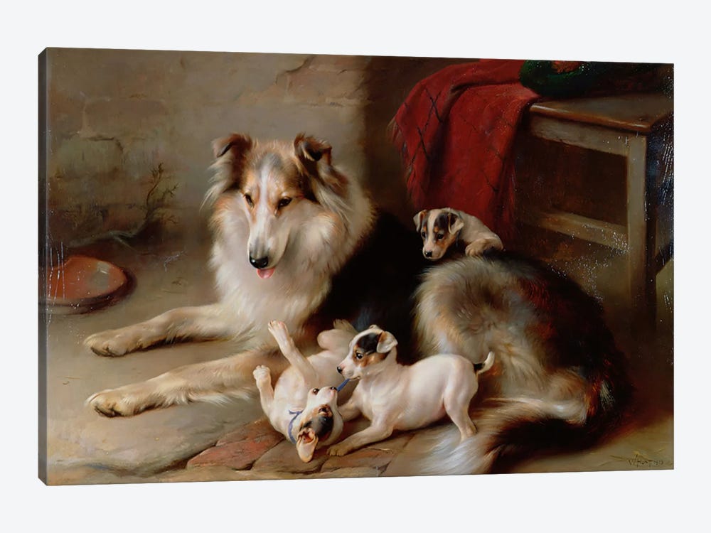 A Collie with Fox Terrier Puppies, 1913 by Walter Hunt 1-piece Canvas Print