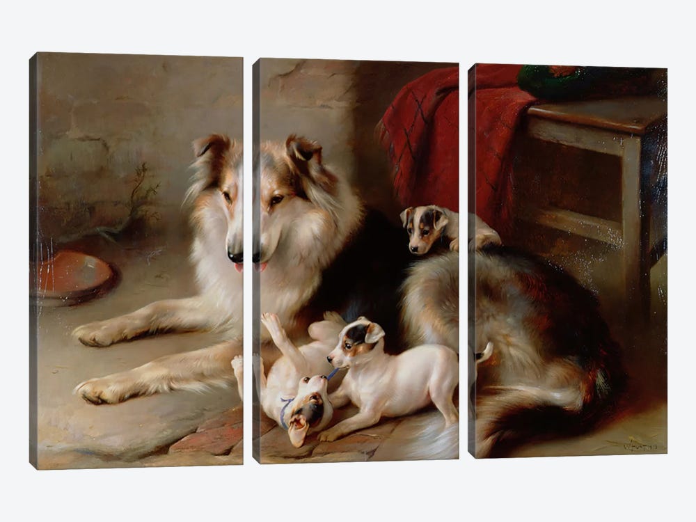 A Collie with Fox Terrier Puppies, 1913 3-piece Art Print
