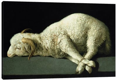Agnus Dei, c.1635-40  Canvas Art Print - Sheep Art