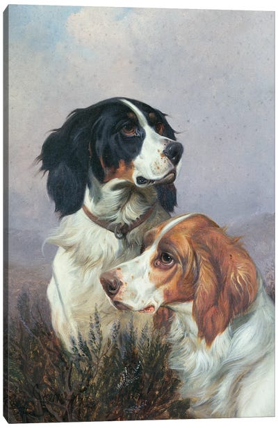Setters on a Moor, 1892 Canvas Art Print