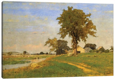 Old Elm at Medfield, 1860  Canvas Art Print