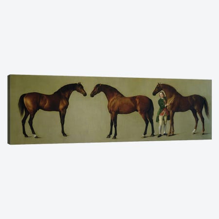 "Whistlejacket" and two other Stallions with Simon Cobb, the Groom, 1762  Canvas Print #BMN10347} by George Stubbs Canvas Print