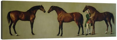 "Whistlejacket" and two other Stallions with Simon Cobb, the Groom, 1762  Canvas Art Print - George Stubbs