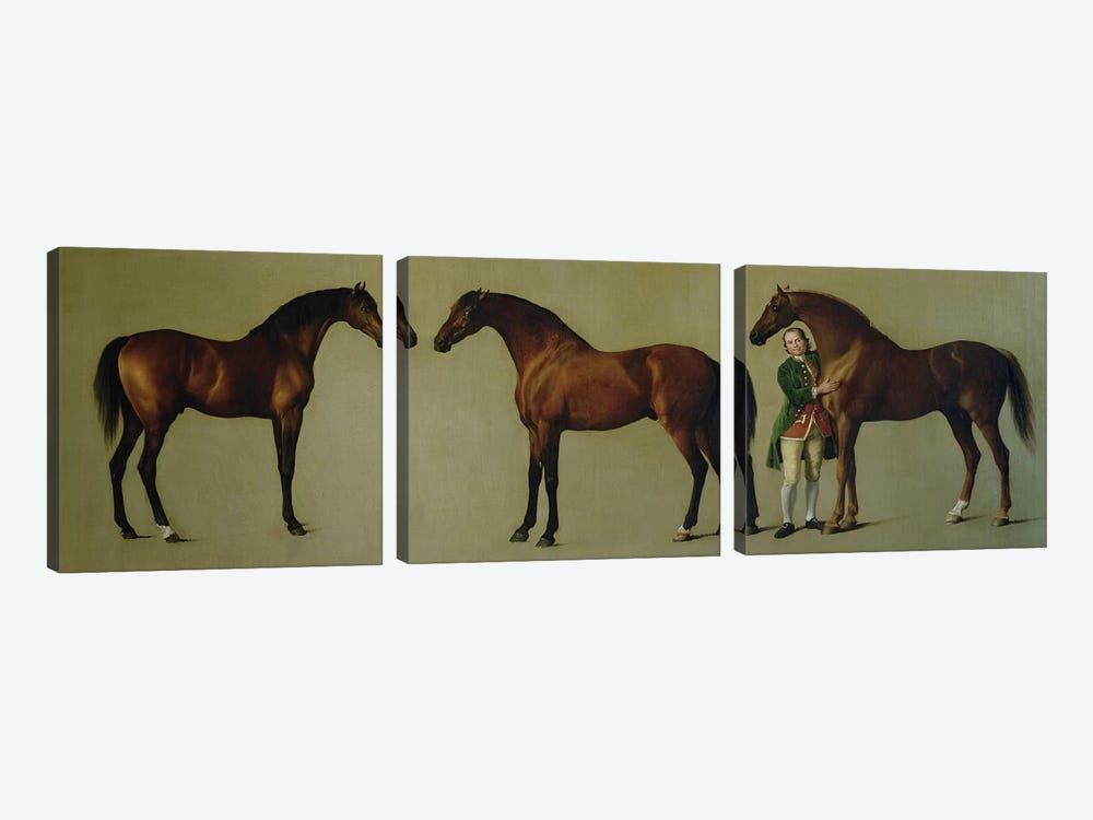 "Whistlejacket" and two other Stallions with Simon Cobb, the Groom, 1762  by George Stubbs 3-piece Canvas Art Print