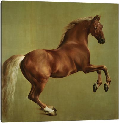 "Whistlejacket", 1762 Canvas Art Print - Horse Art