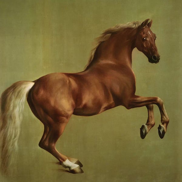 Realism: "Whistlejacket", 1762 by George Stubbs