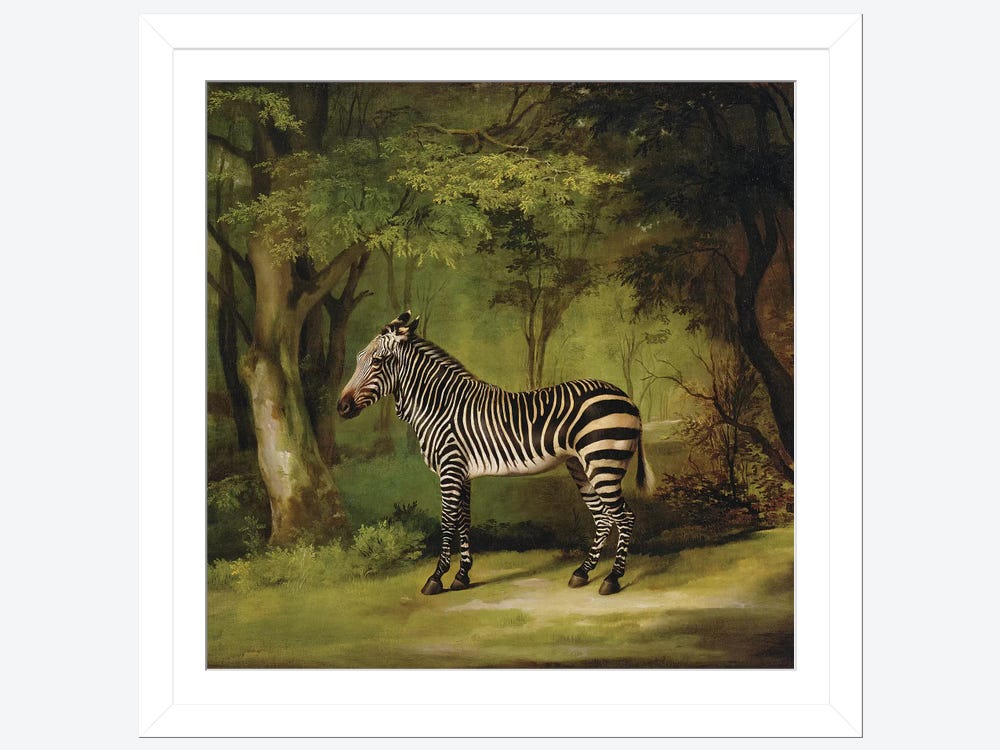 A Zebra, 1763 Canvas Art Print by George Stubbs | iCanvas