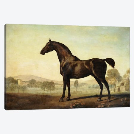 Sweetwilliam', a Bay Racehorse, in a Paddock, 1779  Canvas Print #BMN10351} by George Stubbs Art Print