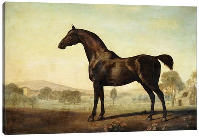 Sweetwilliam', a Bay Racehorse, in a Paddock, 1779  Canvas Art Print - George Stubbs