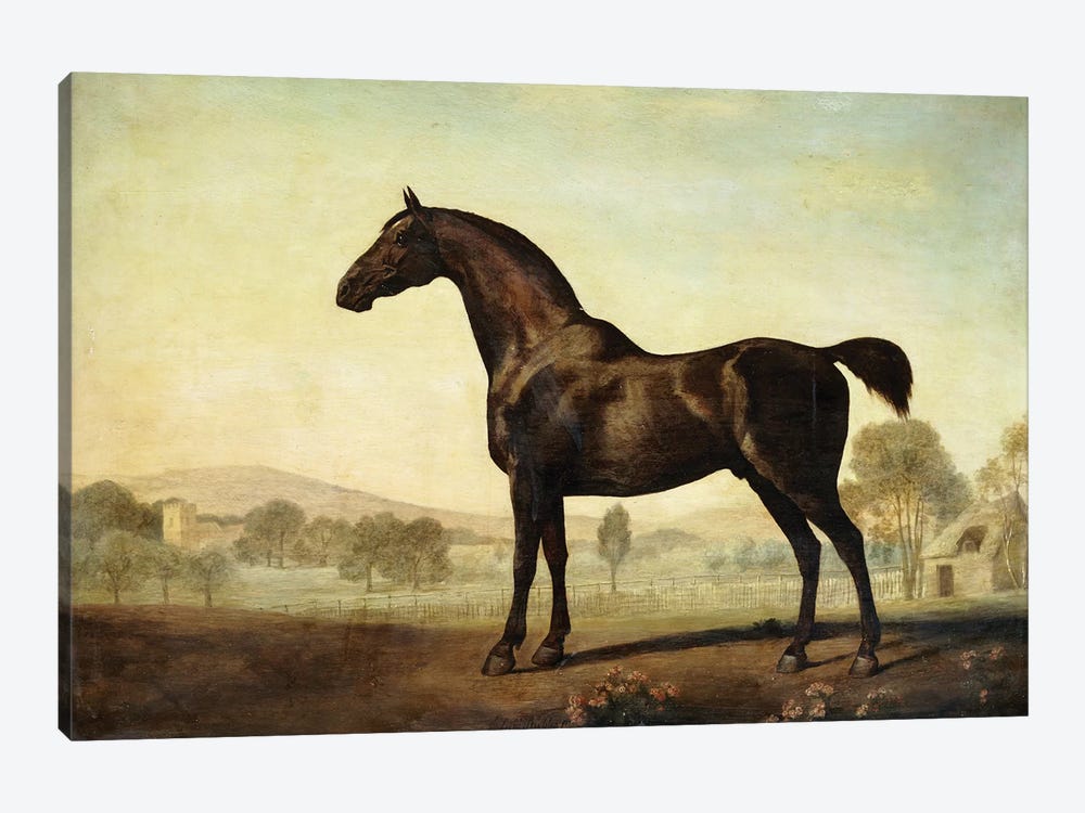Sweetwilliam', a Bay Racehorse, in a Paddock, 1779  by George Stubbs 1-piece Canvas Art