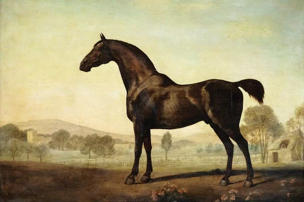 George Stubbs: Sweetwilliam', a Bay Racehorse, in a Paddock, 1779  by George Stubbs