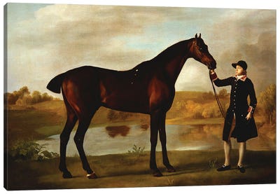 The Duke of Marlborough's  Bay Hunter, with a Groom in Livery in a Lake Landscape  Canvas Art Print