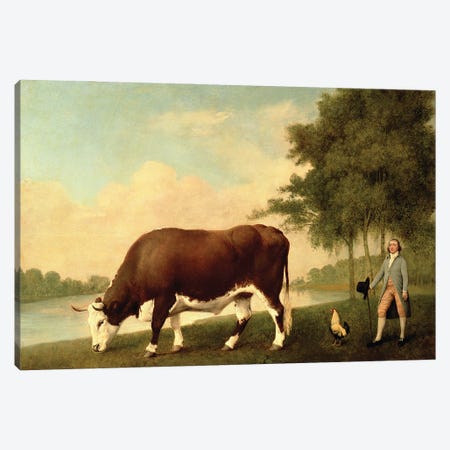The Lincolnshire Ox, c.1790  Canvas Print #BMN10354} by George Stubbs Canvas Art