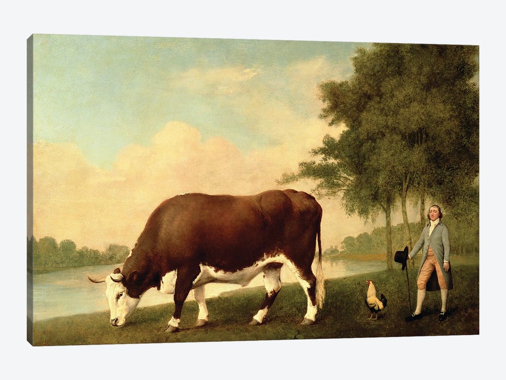 The Lincolnshire Ox, c.1790  by George Stubbs 1-piece Canvas Art Print