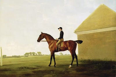 Turf, c.1765   by George Stubbs metal wall art