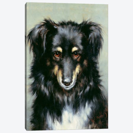 A Black and Tan Collie, 1890  Canvas Print #BMN1035} by Robert Morley Canvas Wall Art