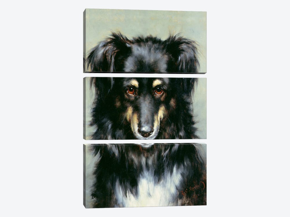 A Black and Tan Collie, 1890  by Robert Morley 3-piece Canvas Print
