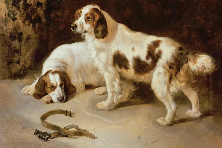 Brittany Spaniels by George Wiliam Horlor wall art