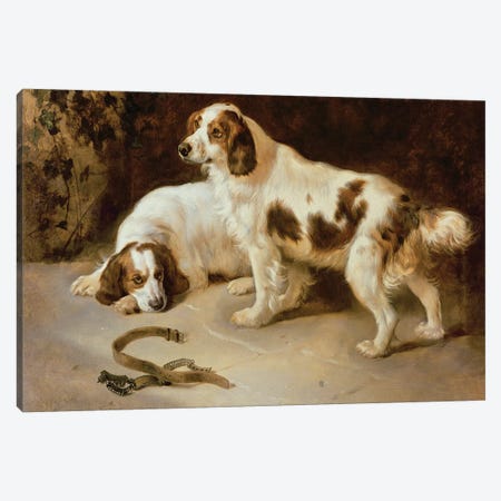 Brittany Spaniels Canvas Print #BMN10368} by George Wiliam Horlor Canvas Wall Art