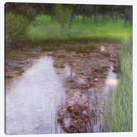 The Swamp, 1900  Canvas Print #BMN10456} by Gustav Klimt Canvas Art Print