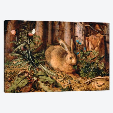 A Hare in the Forest, c. 1585  Canvas Print #BMN10473} by Hans Hoffmann Canvas Artwork