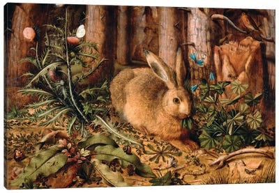 A Hare in the Forest, c. 1585  Canvas Art Print - Rabbit Art