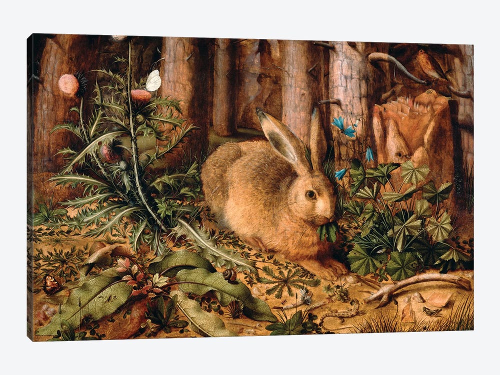 A Hare in the Forest, c. 1585  by Hans Hoffmann 1-piece Art Print